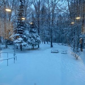 Meet your Posher, Teresa